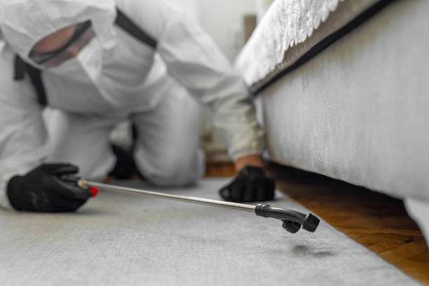 Professional Bed Bug Control technician working in Walford, IA
